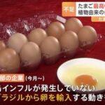 日本の一部の企業､ブラジルから卵を輸入