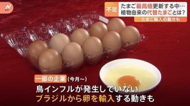 日本の一部の企業､ブラジルから卵を輸入