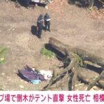 【神奈川】超絶不運？キャンプ場での悲劇…男女2人が倒木に下敷きに！