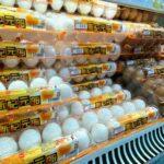 「日本の卵は安全で美味しい」と取り合いに。動画でチェックする！