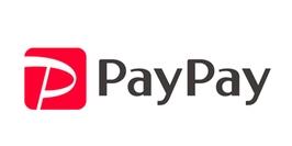 PayPay、一部クレジットカード利用停止へ　「PayPayカード」の利用は可能