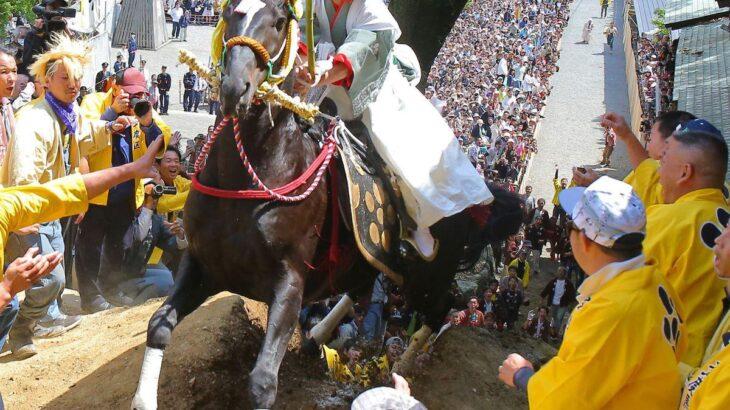 「７００年の伝統」に立ちはだかる動物虐待問題、桑名の「上げ馬神事」を考える