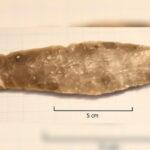 8歳児、ノルウェーには無い石出作られた『石器ナイフ』見つける