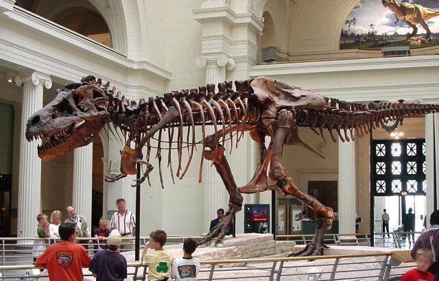 ティラノサウルスは何匹いたのか調べた研究