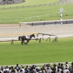 【悲報】日本ダービーで2番人気競走馬が死亡。競馬は日本国民による動物虐待です