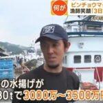 【朗報】漁師｢2～3日で3500万円｣ 房総沖でビンチョウマグロとり放題