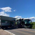 北海道豚トンだ迷惑高速バスとトラックが衝突15人がけがブタも混乱
