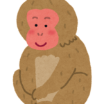 【衝撃】チンパンジー(握力300kg) ゴリラ(握力500kg) オランウータン(握力700kg) 猿「…」