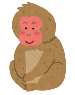 【衝撃】チンパンジー(握力300kg) ゴリラ(握力500kg) オランウータン(握力700kg) 猿「…」