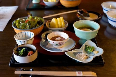 日食の生活を8年間続けてるけど質問ある