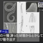 シベリアの永久凍土で発見された4万年眠り続けた線虫が蘇る！謎の生命体の覚醒に迫る