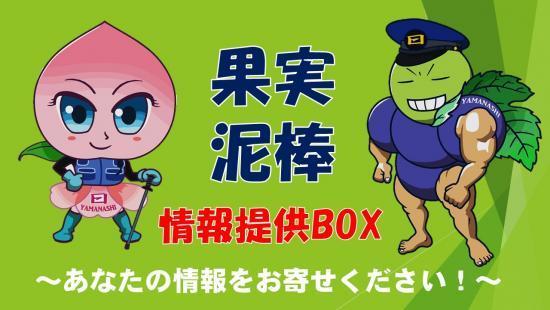 【事案】高まる「桃」の収穫時期に悪夢！山梨でまた「なつっこ」300個盗難《(;´Д`)》ﾌﾞﾙﾌﾞﾙ