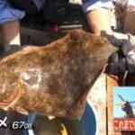 「あの尻尾は本物じゃない？」TOKIO国分が釣ったヒラメに“偽装”の指摘