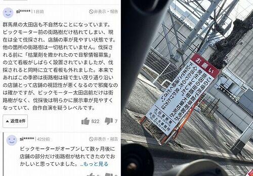 【証拠画像あり】ビッグモーター…怪事件発生⁉店舗前の街路樹が次々と「枯死」の謎