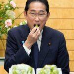 岡山県産マスカットが岸田首相に大絶賛！「皮のパリパリが歯ごたえを引き立てる」と絶賛コメント