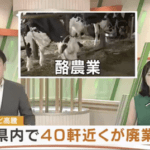 【緊急】日本人、ガチで牛乳を飲まなくなる