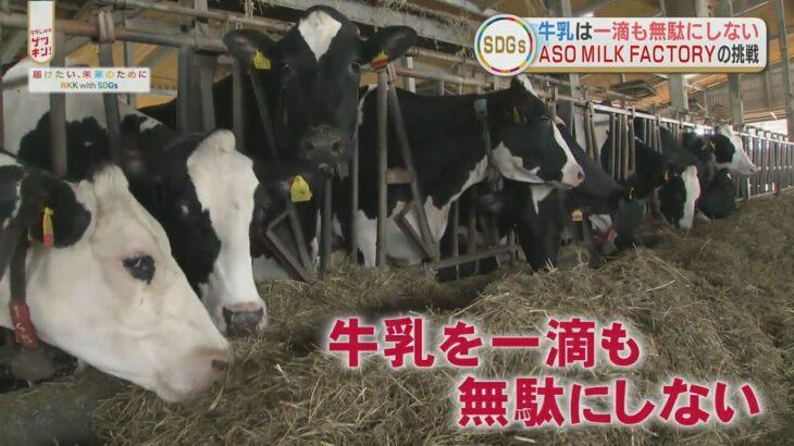 【廃業】群馬の酪農家が次々廃業⁉一滴でも多くの牛乳を飲んで支援しよう！