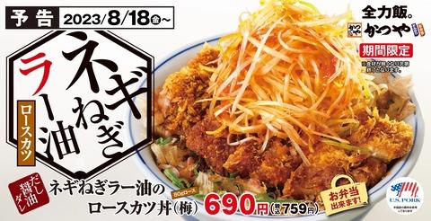 かつやさんから期待の新メニュー登場！これは美味そう！！！