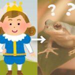 【愕然】王子様が一変！「蛙化現象」の秘密…なぜ王子様がカエルに変わるのか⁉