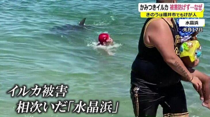 【福井】噛みつきイルカなぜ捕獲「できない」？人間に対する反撃の可能性