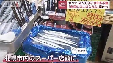 【悲報】サンマさん､今年も不漁 札幌のスーパーで1匹5378円