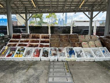 中国人､禁止されている日本産水産物を香港経由で密輸しようとして捕まる
