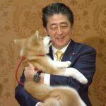 外国人「阿部元首相と柴犬。これが日本の平和の象徴ってことだな」