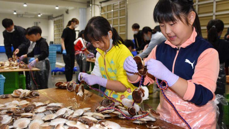 【判明】ホタテの行き先決定!?全国の学校給食に無償提供へ…ホタテ10万食分