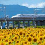 【衝撃】グリーン車でトンデモ老人出現⁉大学生と高齢男性の奇妙な席争い事件