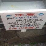【悲報】「コイのエサ10円」という紙を見て池に10円玉を投げる人が殺到🐟