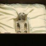 【画像】メキシコ議会で｢宇宙人の遺体｣公開されるｗｗｗｗｗｗ