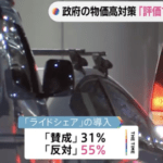 【悲報】日本人の55％がライドシェア導入に反対してしまう