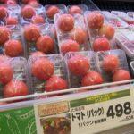 【驚愕】市場に激震!?トマト価格が急騰…2か月で450円の値上がりを記録