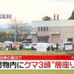 【愕然】苦情相次ぐ？秋田県のクマ3頭殺害…クマ保護派からの猛抗議