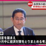 【愕然】自民党提言案が発表！所得減税は見送り…低所得世帯への給付に注力