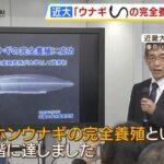 近畿大さん､今度はニホンウナギの完全養殖に成功 大学では世界初