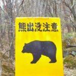 【悲報】全国の熊さん、一斉に人を襲い始める