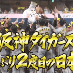 プロ野球日本シリーズ2023､阪神タイガースが38年ぶりに日本一！0時からジョーシンセールくるぞ！