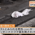 歌舞伎町の路上でホストとみられる男性がカッターナイフで刺される。20代女を現行犯逮捕