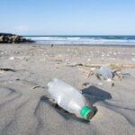 リサイクルプラスチック、有害化学物質汚染されていることが判明
