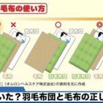 毛布の使い方､日本人のほとんどが間違ってる