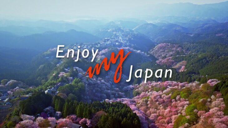 外国人「短い動画でも日本の魅力満載。日本が良すぎるよな」