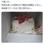 【悲報】高島屋のクリスマスケーキ(冷凍)､グチャグチャに崩れた状態で届いてしまう