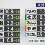 【朗報】れいわ新選組の支持率、結党以来最高を記録。自民に壊された日本を立て直すにはこれしかないんだよ