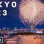 外国人「東京の年末花火があまりにも綺麗すぎる。いつか立ち会いたいよ」