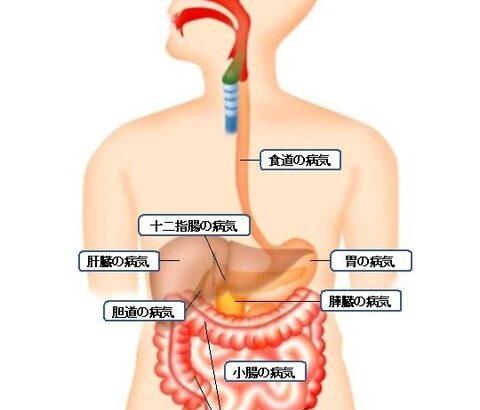 消化器内科の医者だけど質問ある？