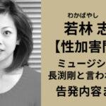 【衝撃】元女優・若林志穂さんの衝撃告白！違法薬物を使った性暴力被害の真相