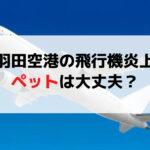 【羽田事故】嘘だろ⁉炎上したJAL機に預けられた動物の安否…広報が衝撃報告