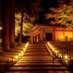 夜中に1人で神社とか墓場に行ってるけど何か質問ある？
