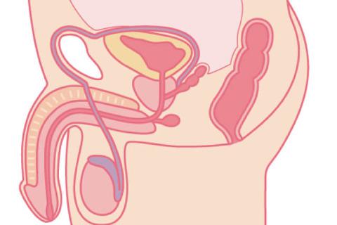 膣内射精障害だけど何か質問ある？